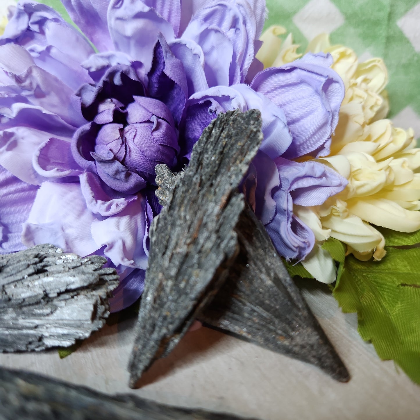 Raw black kyanite fan