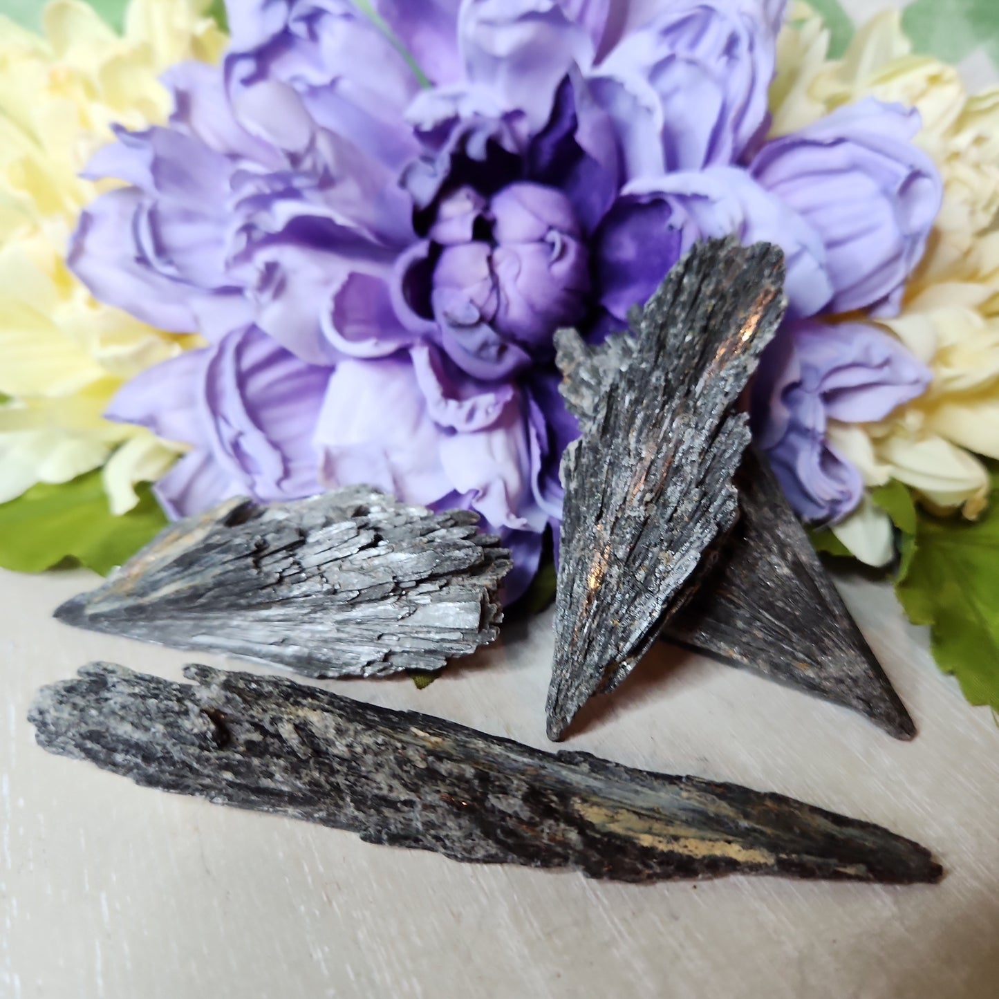 Raw black kyanite fan