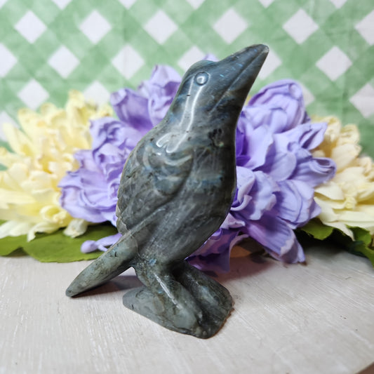 Labradorite crow carving