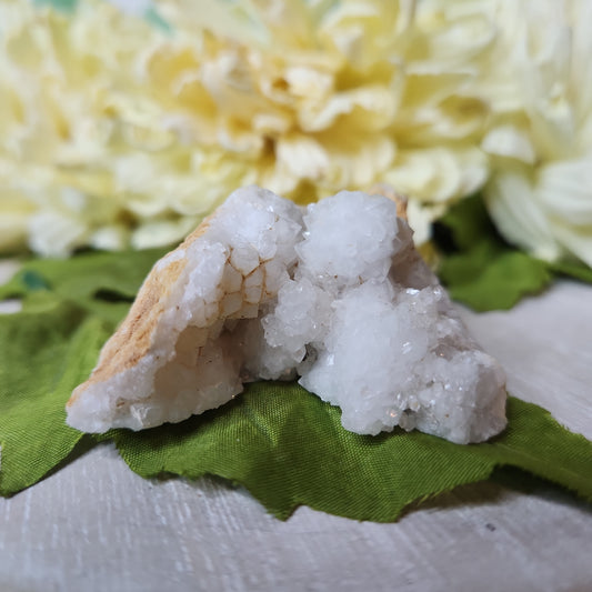White druzy geode slice (f)