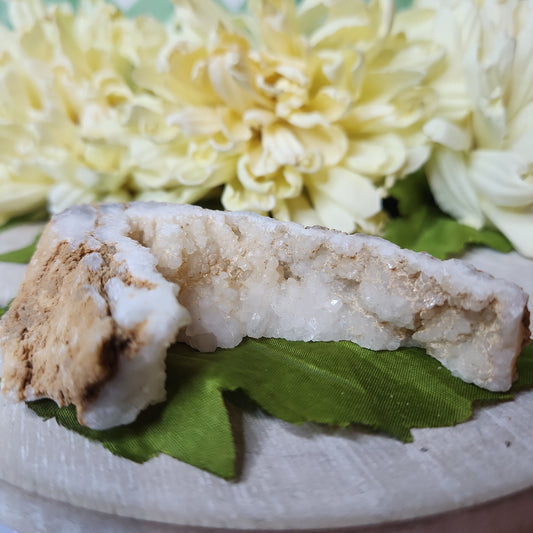 White druzy geode slice (c)