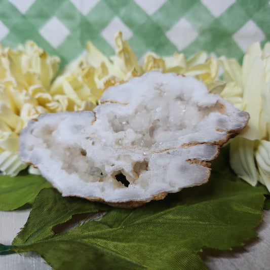 White druzy geode slice (d)