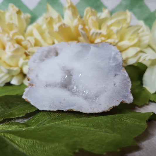 White druzy geode slice (a)