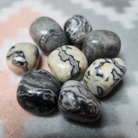 Zebra jasper tumble