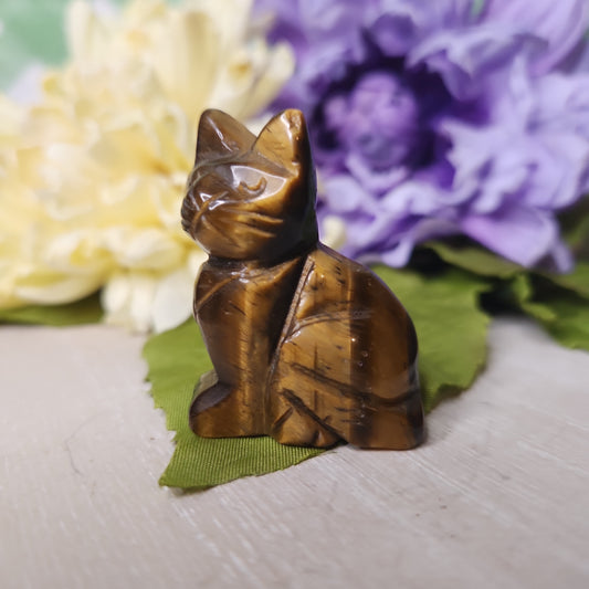 Tiger eye cat carving